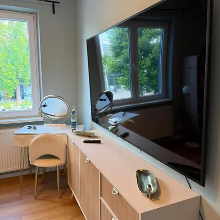 Artefact Designer-apartment Mit Dachterrasse * Achern